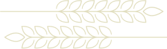 grain-design